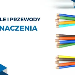 Oznaczenia kolorów przewodów elektrycznych norma. Trzy wiązki kabli z kolorowymi żyłami: niebieska, zielona, pomarańczowa, turkusowa; brązowa, pomarańczowa, niebieska, zielona; żółta, brązowa, pomarańczowa, niebieska.