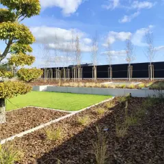 Nowy ogród z trawnikiem, drzewem bonsai i ekranem akustycznym od sąsiada.