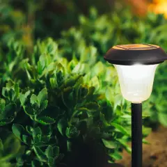 Solarna lampka ogrodowa oświetla zielone rośliny. Idealna do stworzenia nastroju, gdy zastanawiasz się, jak zawiesić lampki na balkonie.