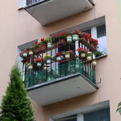 Kwiaty na balkonie, który jest dobudową w domu jednorodzinnym. Wiele doniczek z czerwonymi i zielonymi kwiatami tworzy barwną ozdobę.