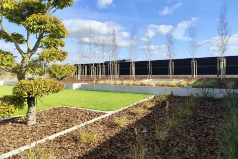Nowy ogród z trawnikiem, drzewem bonsai i ekranem akustycznym od sąsiada.