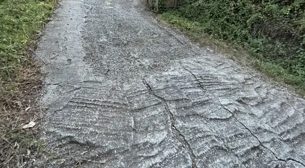 Wyboisty, wysoki podjazd do garażu, z widocznymi pęknięciami i nierównościami, otoczony zielenią.