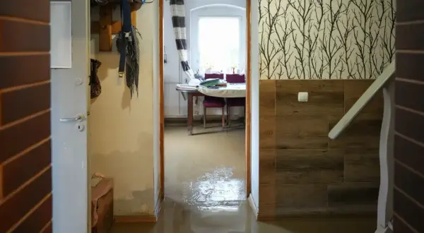 Woda zalewa podłogę w korytarzu i wchodzi do pokoju. Widać drzwi, meble i zasłony. To dowód na potrzebę zabezpieczenia przed zalaniem.