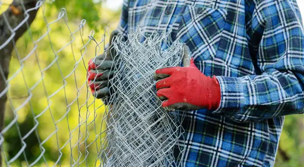 Osoba w czerwonych rękawicach i kratowanej koszuli przygotowuje się do montażu siatki ogrodzeniowej, trzymając zwinięty materiał.
