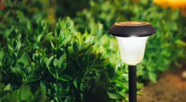 Solarna lampka ogrodowa oświetla zielone rośliny. Idealna do stworzenia nastroju, gdy zastanawiasz się, jak zawiesić lampki na balkonie.
