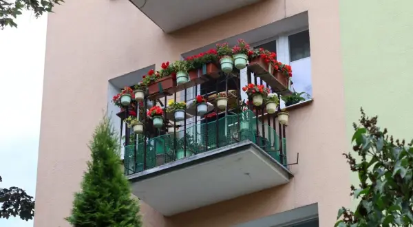 Kwiaty na balkonie, który jest dobudową w domu jednorodzinnym. Wiele doniczek z czerwonymi i zielonymi kwiatami tworzy barwną ozdobę.