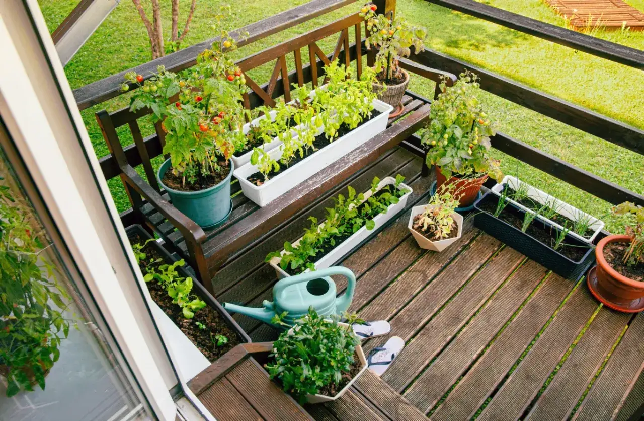 Balkon pełen zieleni: pomidory, zioła i sałata w donicach to świetna alternatywa, co na balkon zamiast płytek.