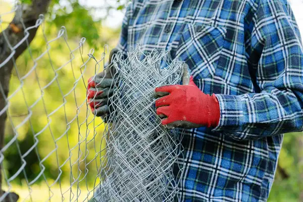 Osoba w czerwonych rękawicach i kratowanej koszuli przygotowuje się do montażu siatki ogrodzeniowej, trzymając zwinięty materiał.