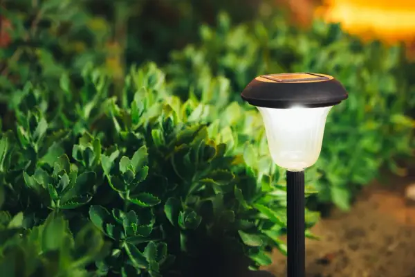 Solarna lampka ogrodowa oświetla zielone rośliny. Idealna do stworzenia nastroju, gdy zastanawiasz się, jak zawiesić lampki na balkonie.