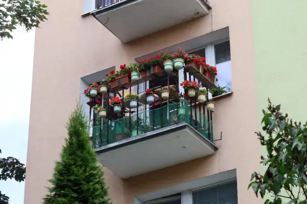 Kwiaty na balkonie, który jest dobudową w domu jednorodzinnym. Wiele doniczek z czerwonymi i zielonymi kwiatami tworzy barwną ozdobę.